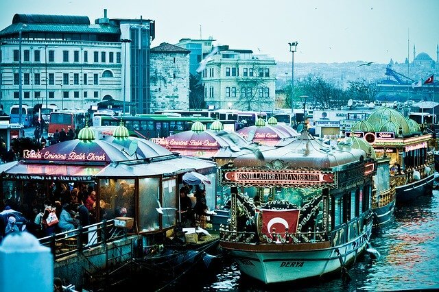 tourisme du marché de la dinde