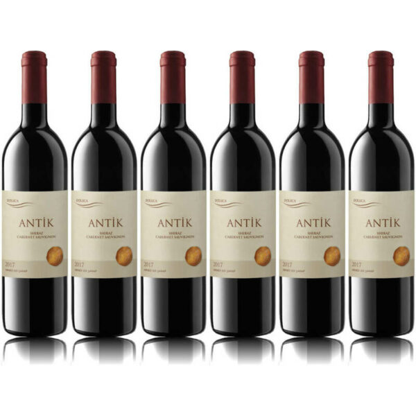 6xdoluca-antik-shiraz-und-cabernet-sauvignon
