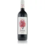 Cavino Ionos rot