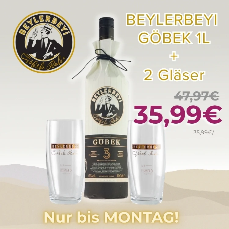 Beylerbeyi Aktion