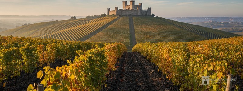 Anbaugebiet Soave