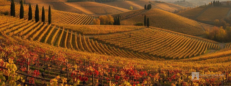 Anbaugebiet Valpolicella & Amarone
