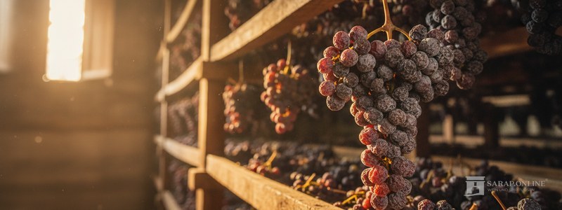 Trauben Valpolicella & Amarone